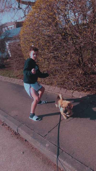 Challenge 23 : "  Euer Hund beim Frühlingserwachen "-Beitrag-Bild