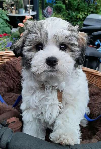 Fotochallange Nr. 57     PORTRÄT.   Beendet!!!!!!!!-Beitrag-Bild