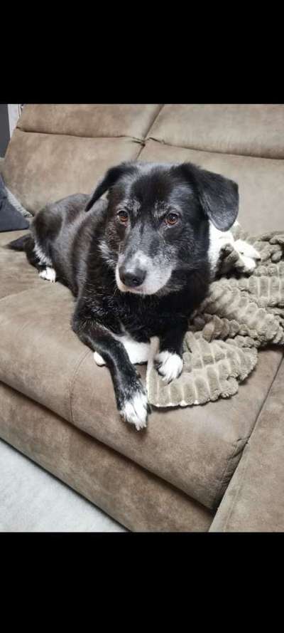 Doppelgänger gesucht !-Beitrag-Bild