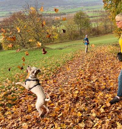 45. Handy - Foto - Challenge-Beitrag-Bild