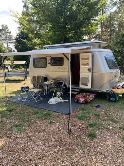 56. Handy Foto Challenge - Grosse Maschinen-Beitrag-Bild