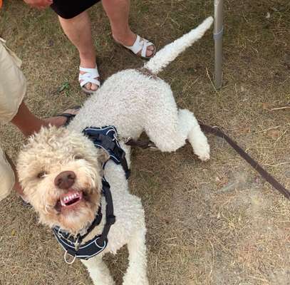 Her mit dem Grimassen-Beitrag-Bild