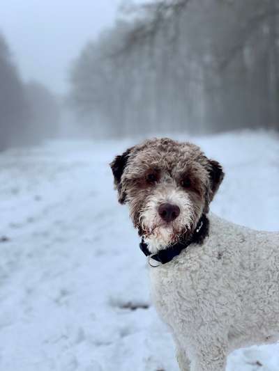 Lieblingsbild-Beitrag-Bild