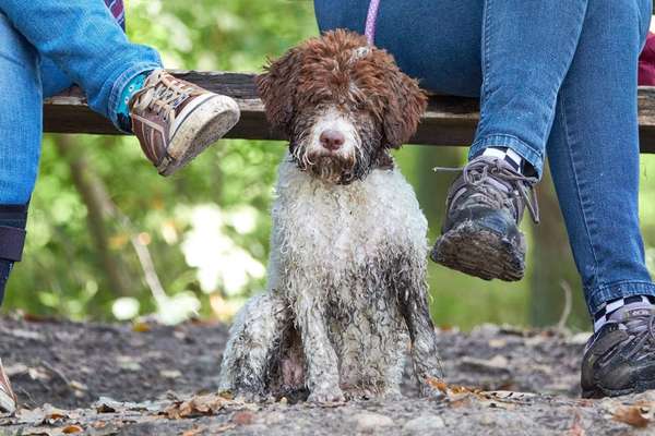 10. Farben Foto-Challenge ---- Blau-Beitrag-Bild