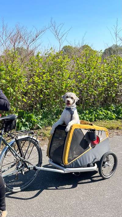 141. FOTO CHALLENGE 
Reisende soll man nicht aufhalten-Beitrag-Bild