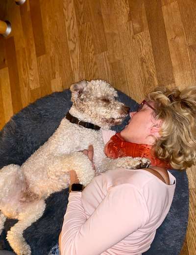 Dogorama Photo Challenge - Frühjahrsmüdigkeit-Beitrag-Bild