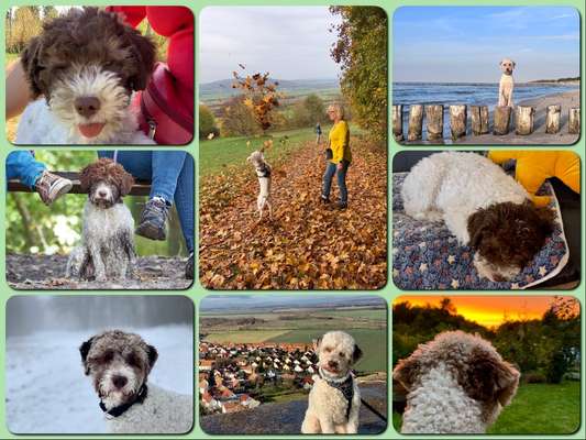 48. Collagen Challenge: Das Leben ist bunt-Beitrag-Bild