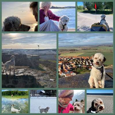 45. Collage Challenge - Lieblingsurlaubs/ Ausflugsziele-Beitrag-Bild