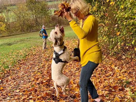 60. Handy Fotochallenge  -gleich schnapp ich es--Beitrag-Bild