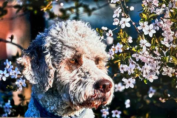 Fotochallenge Nr. 126-Beitrag-Bild