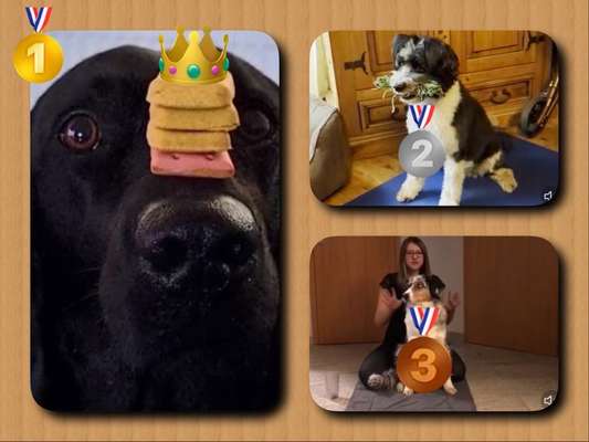 46. Video Challenge - Trainingserfolg-Beitrag-Bild