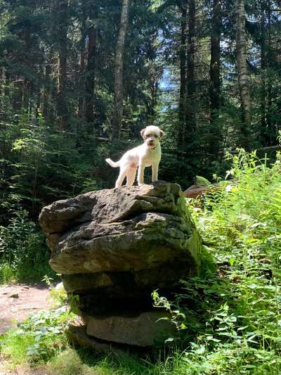 57. Handy Foto Challenge - klettern-Beitrag-Bild