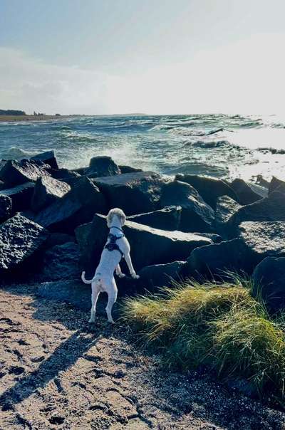 55. Handy Foto Challenge - von hinten, Blick in die Ferne-Beitrag-Bild