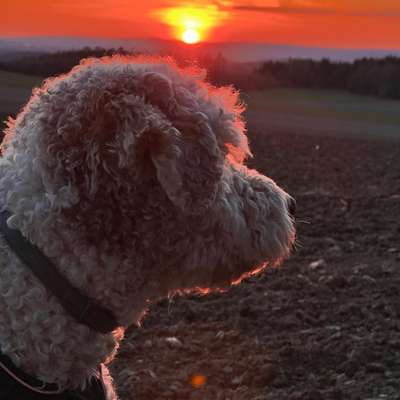 Farben Fotochallenge Sonnenlicht-Beitrag-Bild