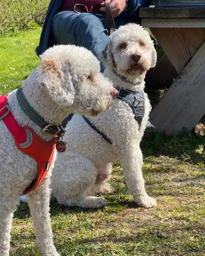 Fotochallenge 130-Beitrag-Bild