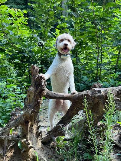 149. Foto Challenge: Wer ist hier der Boss!-Beitrag-Bild