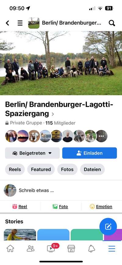 Lagotto Romagnolo Besitzer-Beitrag-Bild