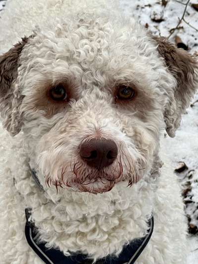 Lieblingsbild-Beitrag-Bild