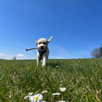 14. Farbenfoto-Challenge "Weiss"-Beitrag-Bild