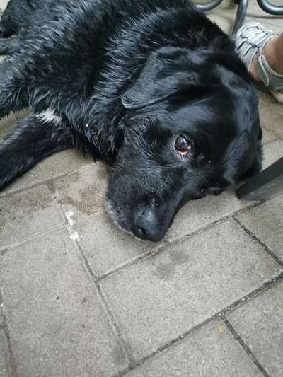 Blick fürs Detail!-Beitrag-Bild