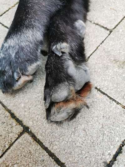 Blick fürs Detail!-Beitrag-Bild