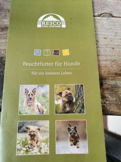 Trockenfutter gut und günstig-Beitrag-Bild