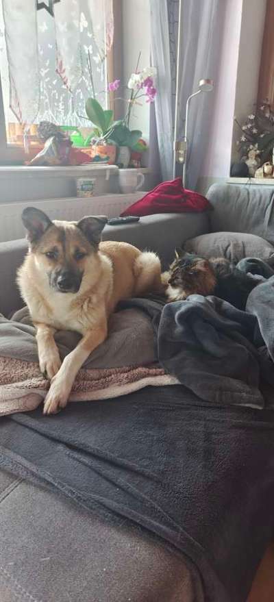 Doppelgänger gesucht !-Beitrag-Bild