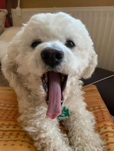 Lieblingsbild :D-Beitrag-Bild