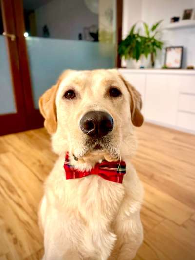 Lieblingsbild :D-Beitrag-Bild