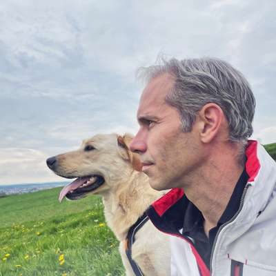 Hundetreffen-Sozialisierung / Gemeinsames Training-Profilbild