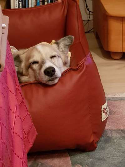 FOTO-Challenge  NR. 91: Die pure Entspannung-Beitrag-Bild