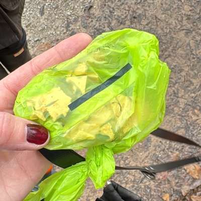 Giftköder-Giftköder-Bild