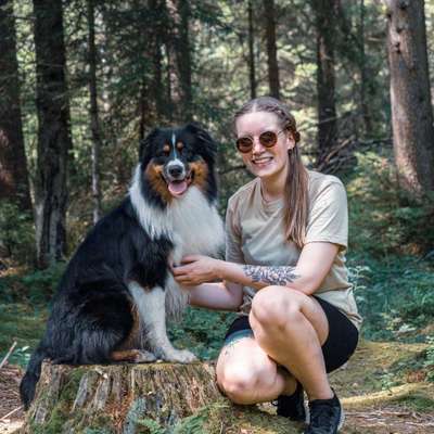 Hundetreffen-SUCHE: Fotografie-Begeisterte Hundebesitzer-Bild