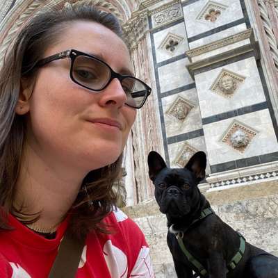 Hundetreffen-Neue Hundefreunde