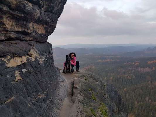 Hobby's mit Hund-Beitrag-Bild