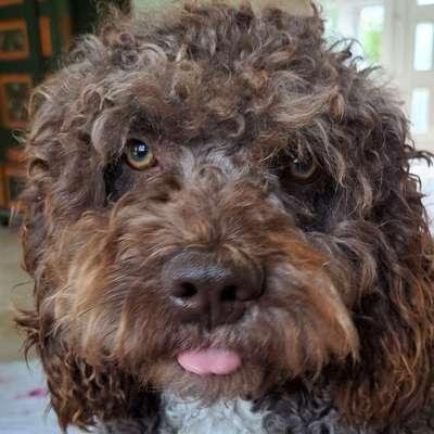 Gunhild's Profilbild