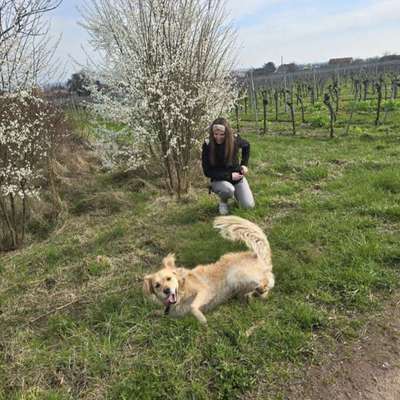 Hundetreffen-🐾 Mila sucht neue Hundefreunde 😊-Bild