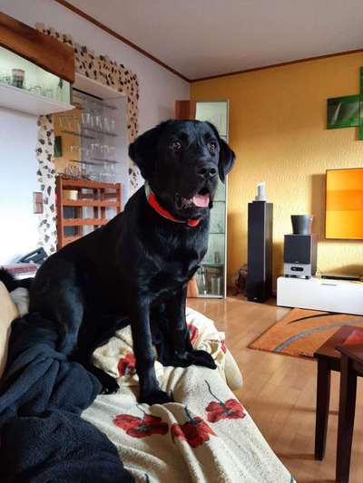 Handyfoto challenge Nr. 13: Waschlappen raus!-Beitrag-Bild