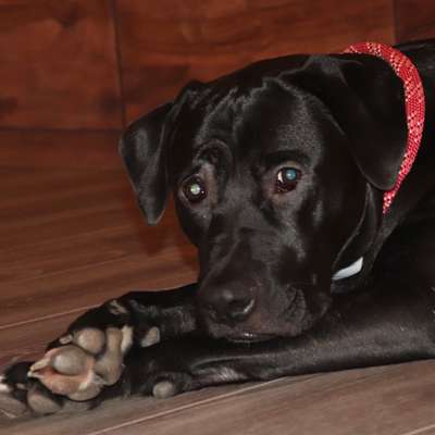 Fotochallange Nr. 57     PORTRÄT.   Beendet!!!!!!!!-Beitrag-Bild