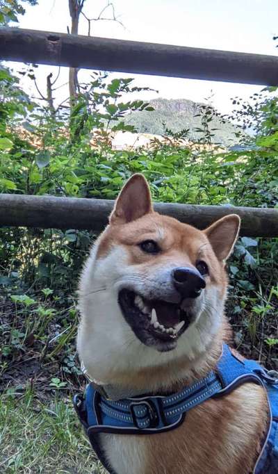 Fotochallange Nr. 57     PORTRÄT.   Beendet!!!!!!!!-Beitrag-Bild