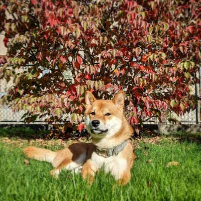 Herbst Bilder-Beitrag-Bild