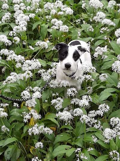 Fotowettbewerb Natur-Beitrag-Bild