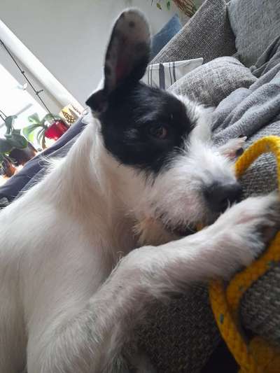 15. Handyfoto Challenge - Indoor Aktivitäten-Beitrag-Bild