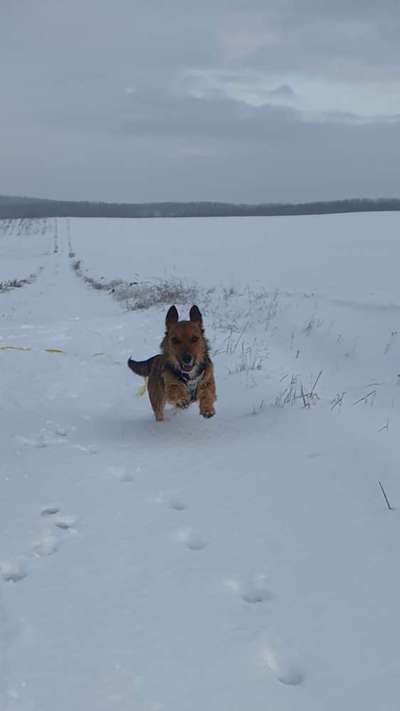 Fotochallenge 61 ~ Schnee-Beitrag-Bild