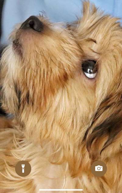 150. Foto Challaenge:  Die Augen, der Spiegel der Seele-Beitrag-Bild