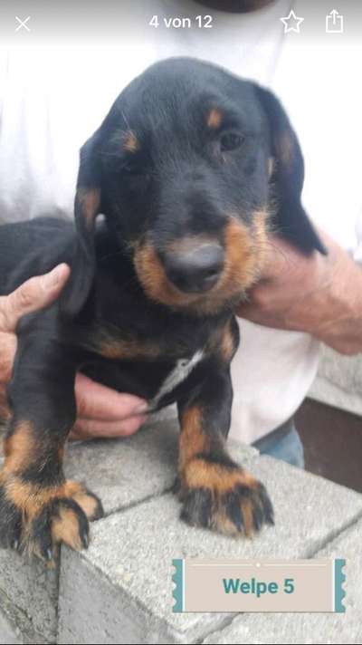 Foto Challenge 3-Beitrag-Bild