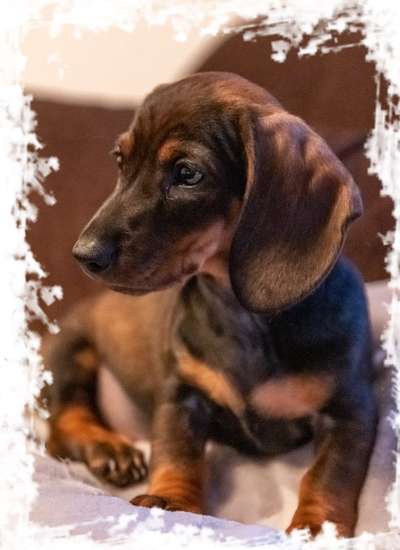 Foto Challenge 3-Beitrag-Bild