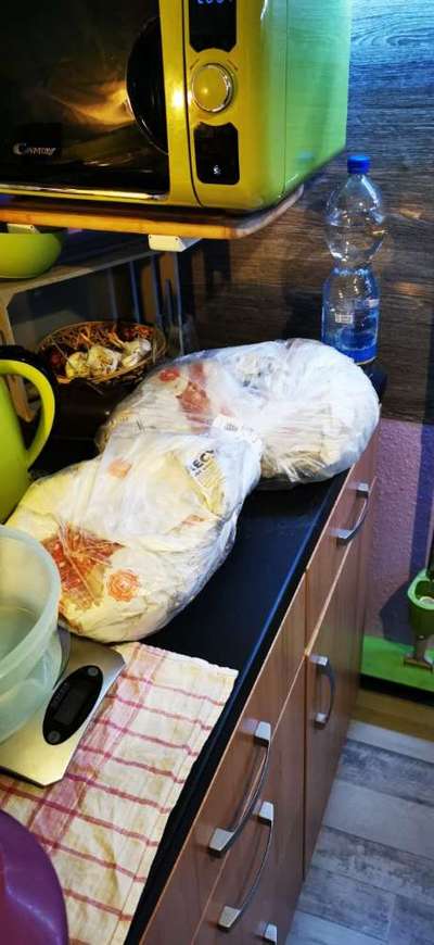 Rhodesian Ridgeback-Beitrag-Bild