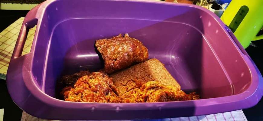 Rhodesian Ridgeback-Beitrag-Bild