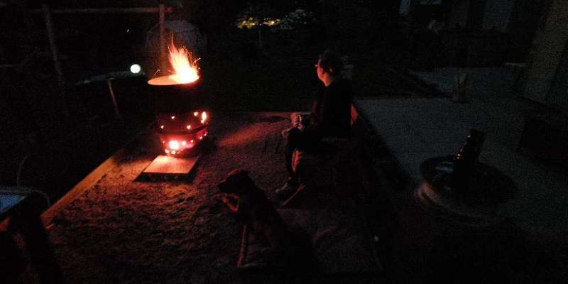 Rhodesian Ridgeback-Beitrag-Bild